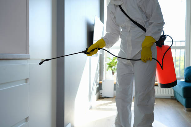 Best Water Damage Restoration  in South Wenatchee, WA