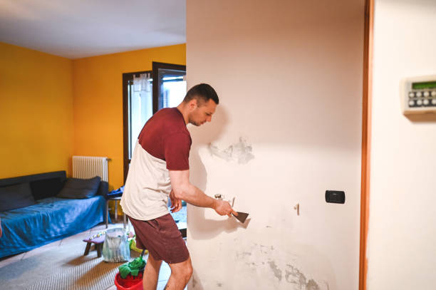 Best Local Mold Removal Service  in South Wenatchee, WA