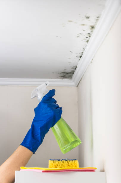 Water Damage Restoration in South Wenatchee, WA